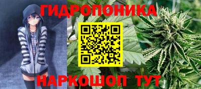 индика Комсомольск-на-Амуре