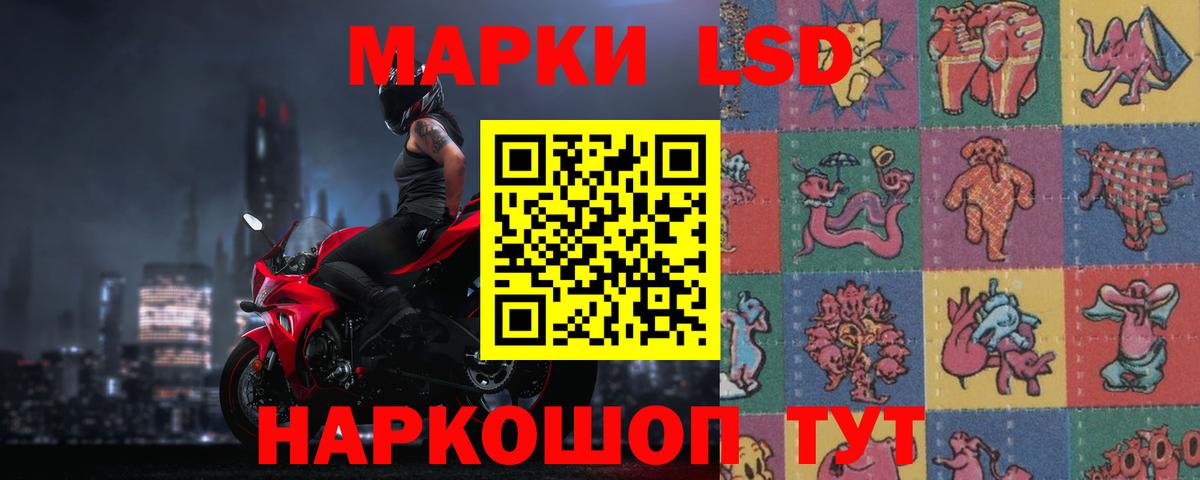 Котлас  ЛСД экстази кислота  LSD-25 экстази кислота  Вход с VPN 
