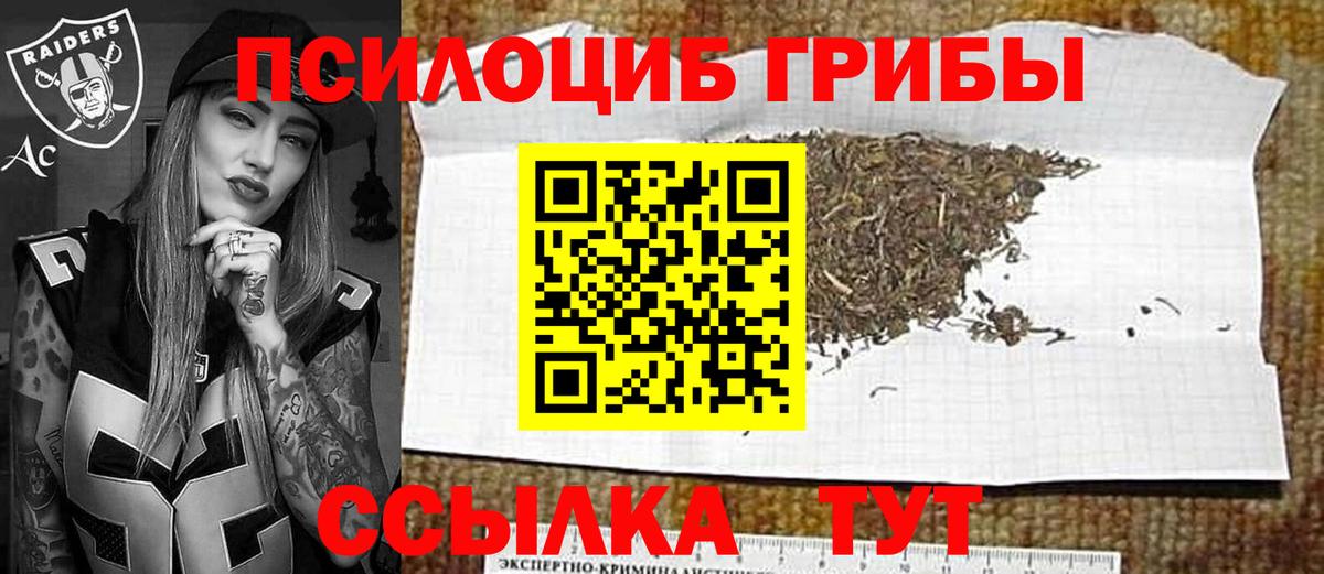 Псилоцибиновые грибы мухоморы Котлас