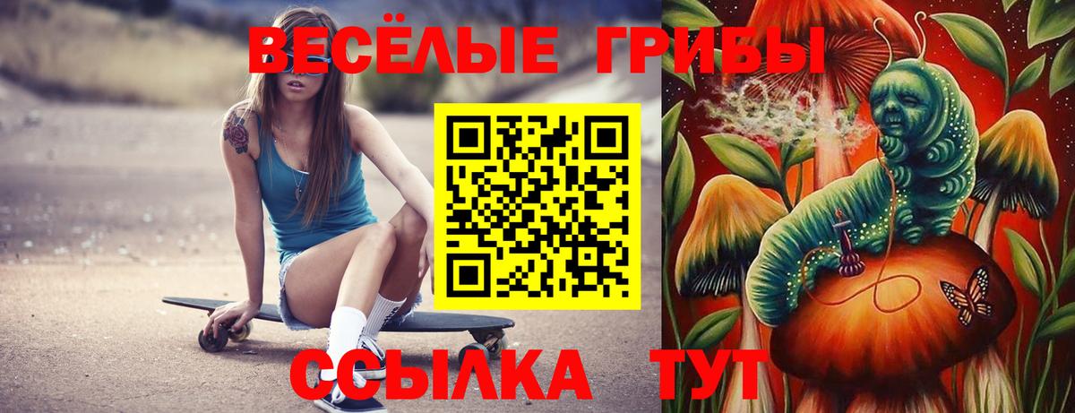 Галлюциногенные грибы мухоморы  купить наркоту  Котлас  Вход с VPN 
